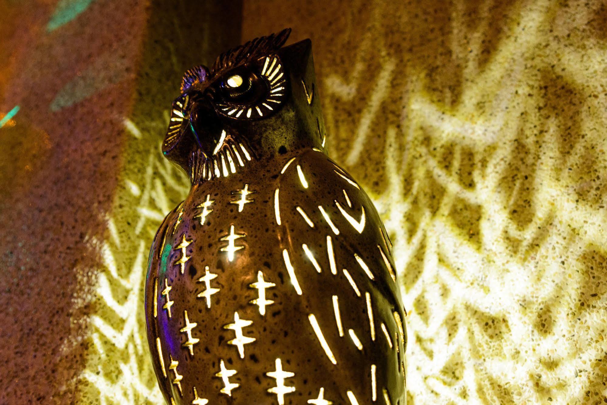 Owl Castle Panzió Hualien Kültér fotó